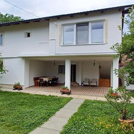 Casa Pandrea Guest House Cartisoara Exterior photo