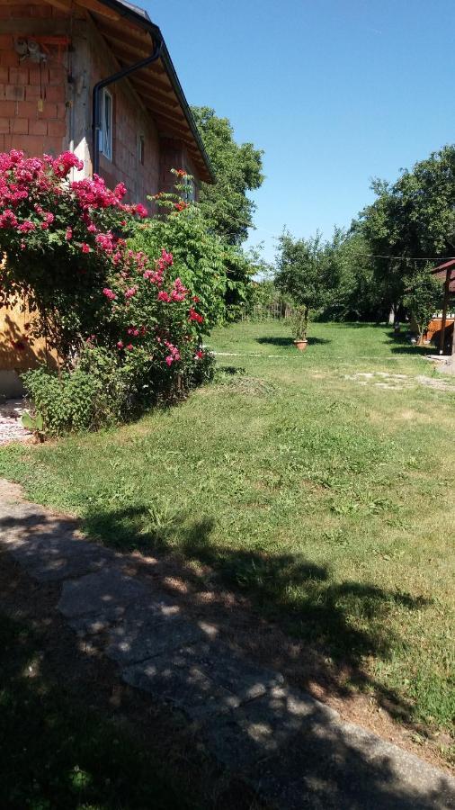 Casa Pandrea Guest House Cartisoara Exterior photo