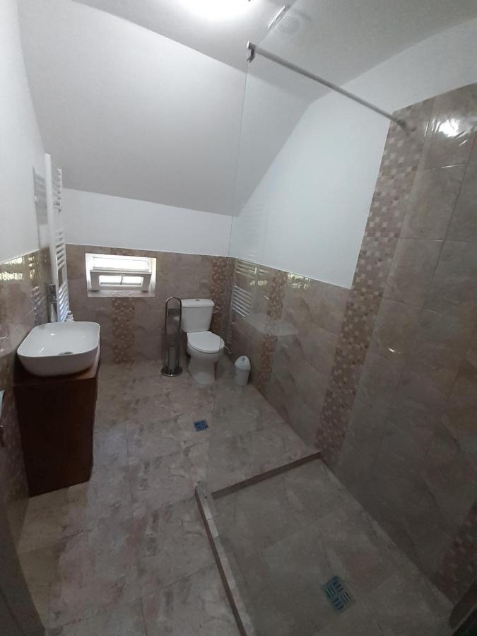 Casa Pandrea Guest House Cartisoara Exterior photo