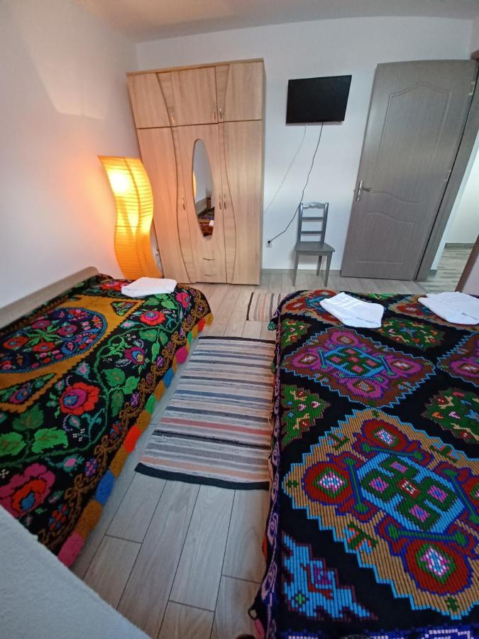 Casa Pandrea Guest House Cartisoara Exterior photo