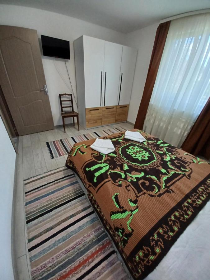 Casa Pandrea Guest House Cartisoara Exterior photo