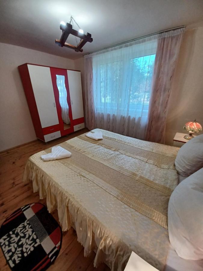 Casa Pandrea Guest House Cartisoara Exterior photo