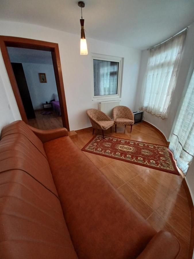 Casa Pandrea Guest House Cartisoara Exterior photo