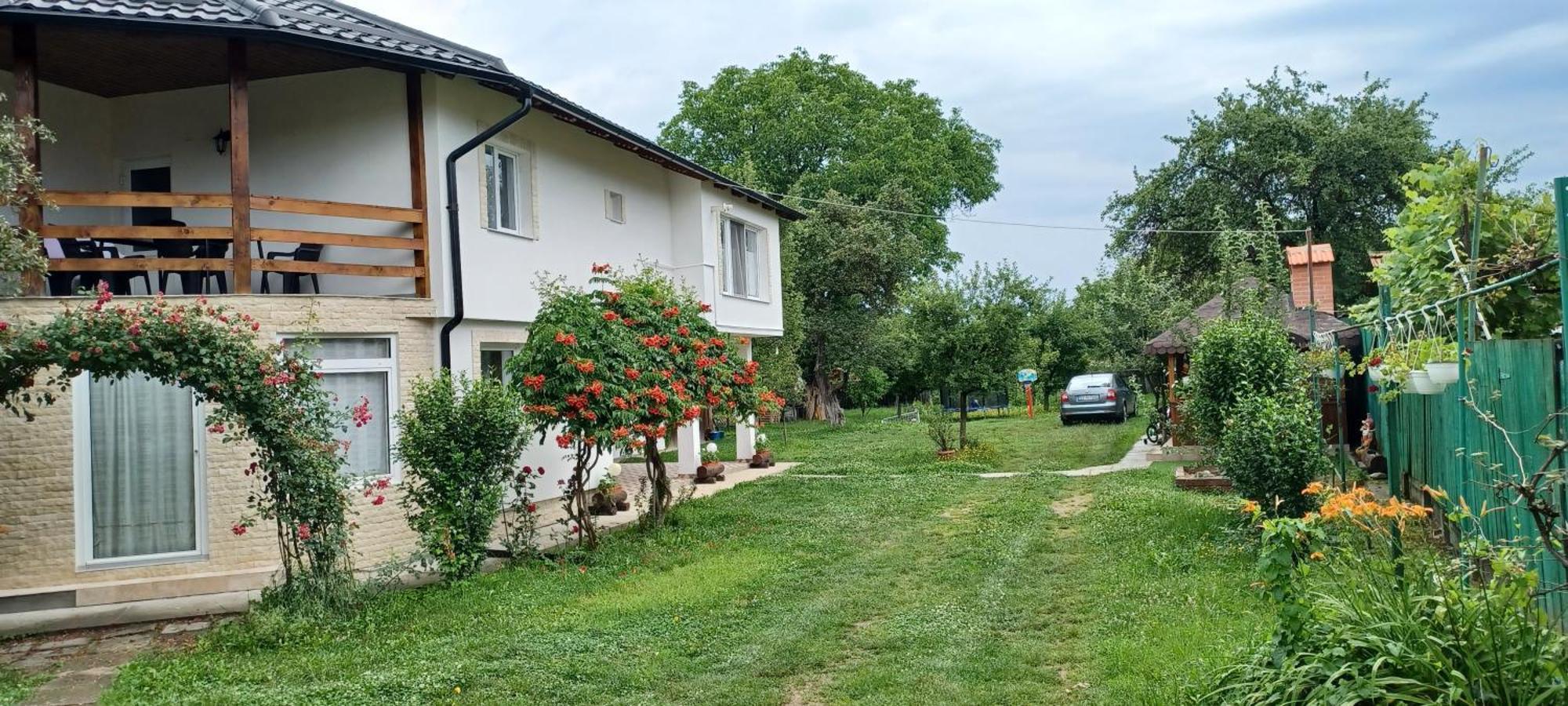 Casa Pandrea Guest House Cartisoara Exterior photo