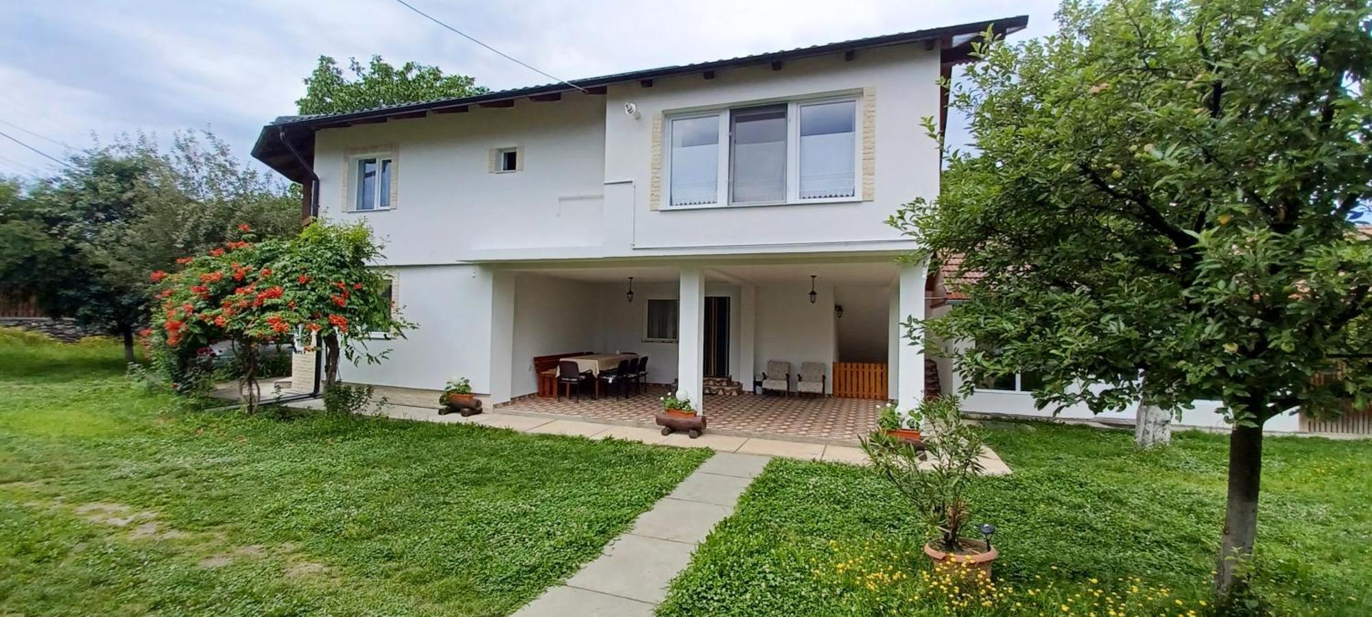 Casa Pandrea Guest House Cartisoara Exterior photo