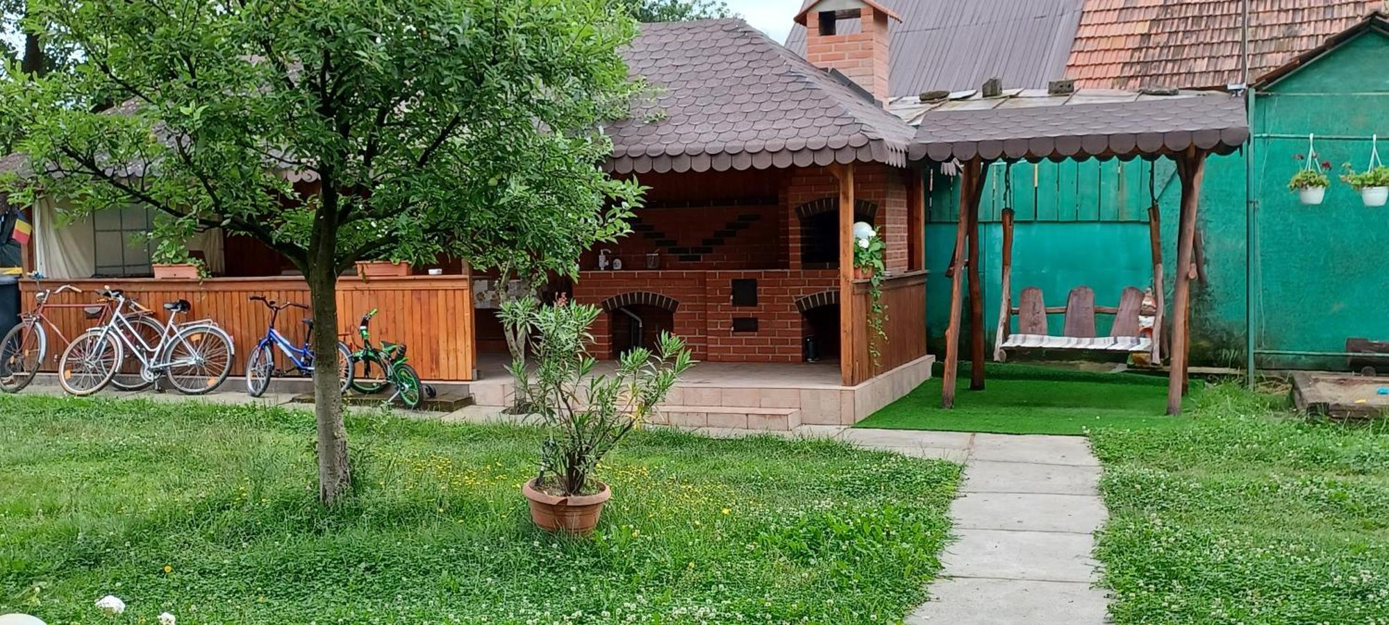 Casa Pandrea Guest House Cartisoara Exterior photo