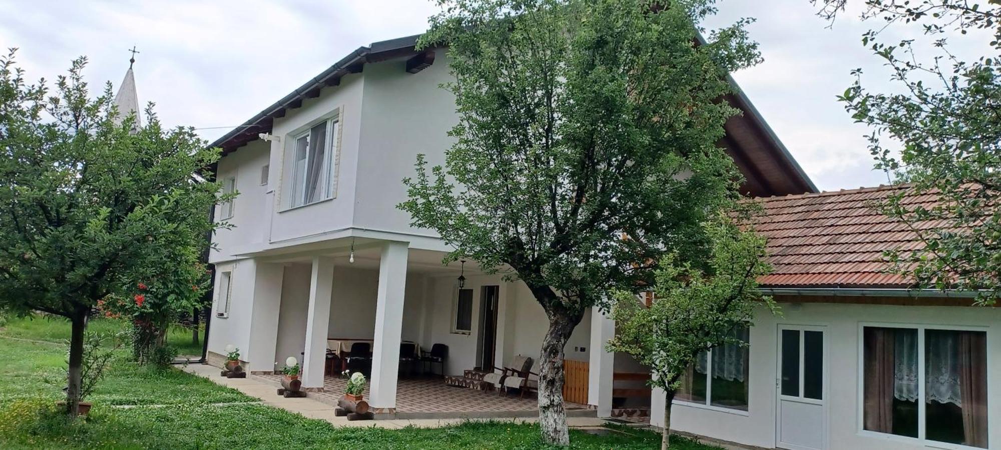 Casa Pandrea Guest House Cartisoara Exterior photo